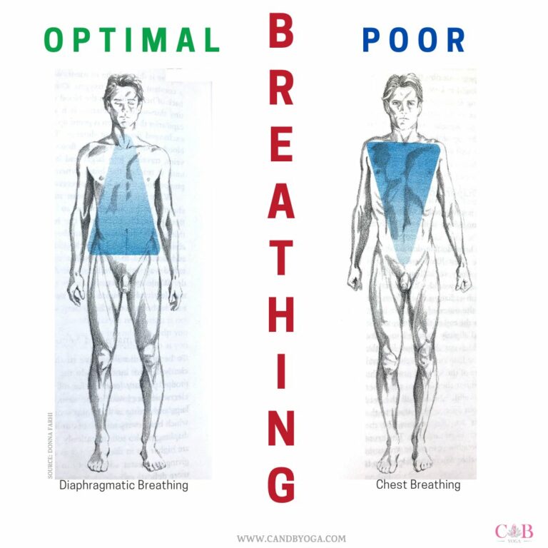 BREATH HEALTH C and B Yoga